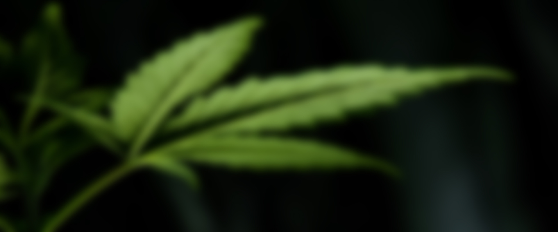 Foto de Esteban Lopez en Unsplash