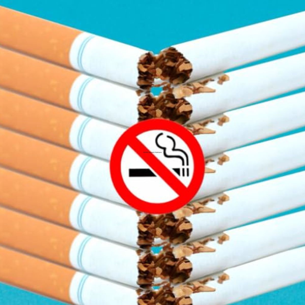 Libro | EL MÉTODO RÁPIDO PARA DEJAR DE FUMAR Y&nbsp;VAPEAR